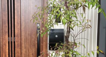 望むはプロ意識 / 南天の植替え終了